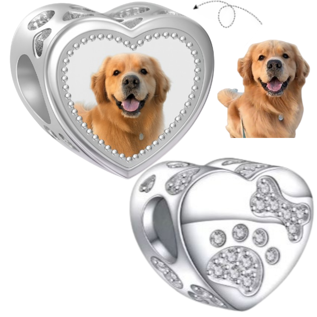 Charm Corazon Huella de Perro con Cristales